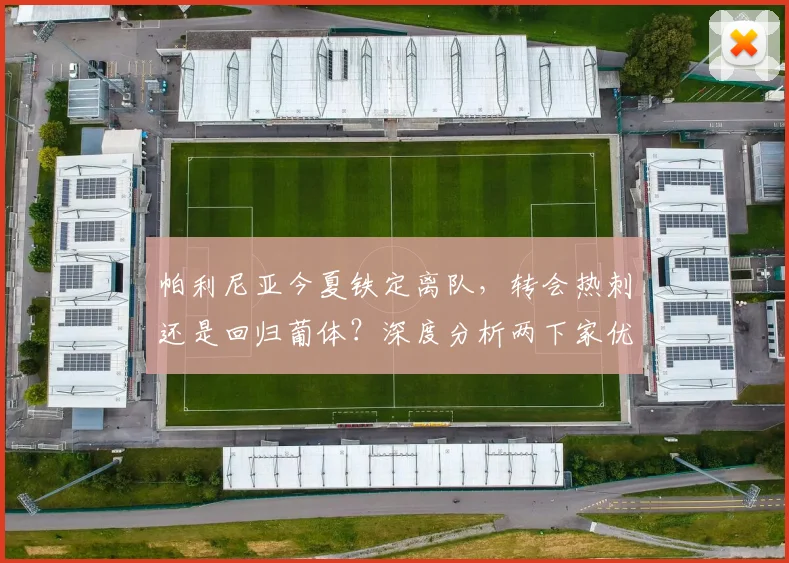 帕利尼亚今夏铁定离队,转会热刺还是回归葡体?深度分析两下家优劣及拜仁出售原因