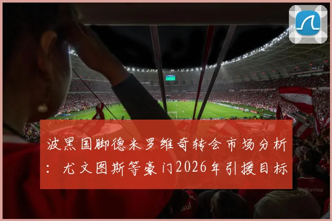 波黑国脚德米罗维奇转会市场分析：尤文图斯等豪门2026年引援目标，技术特点与身价预估详解