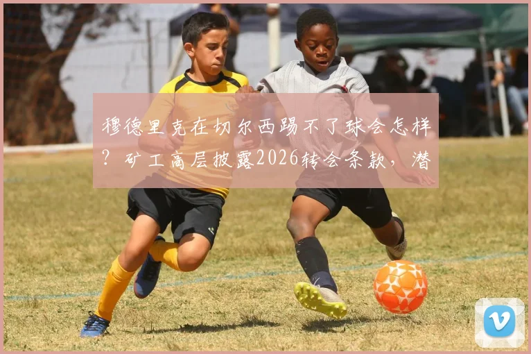 穆德里克在切尔西踢不了球会怎样？矿工高层披露2026转会条款，潜在损失达3000万欧