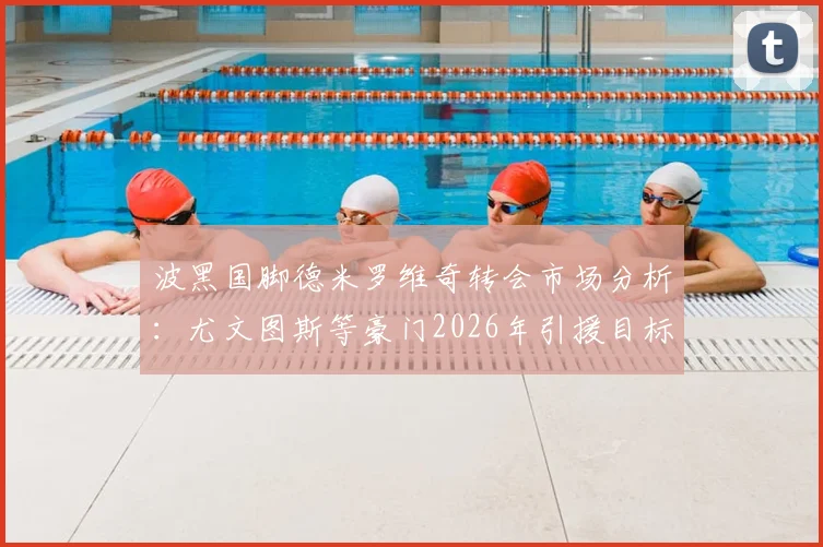 波黑国脚德米罗维奇转会市场分析：尤文图斯等豪门2026年引援目标，技术特点与身价预估详解